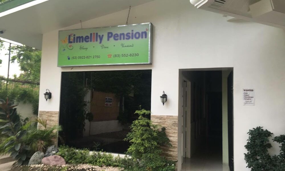 Limelily Pension House 2