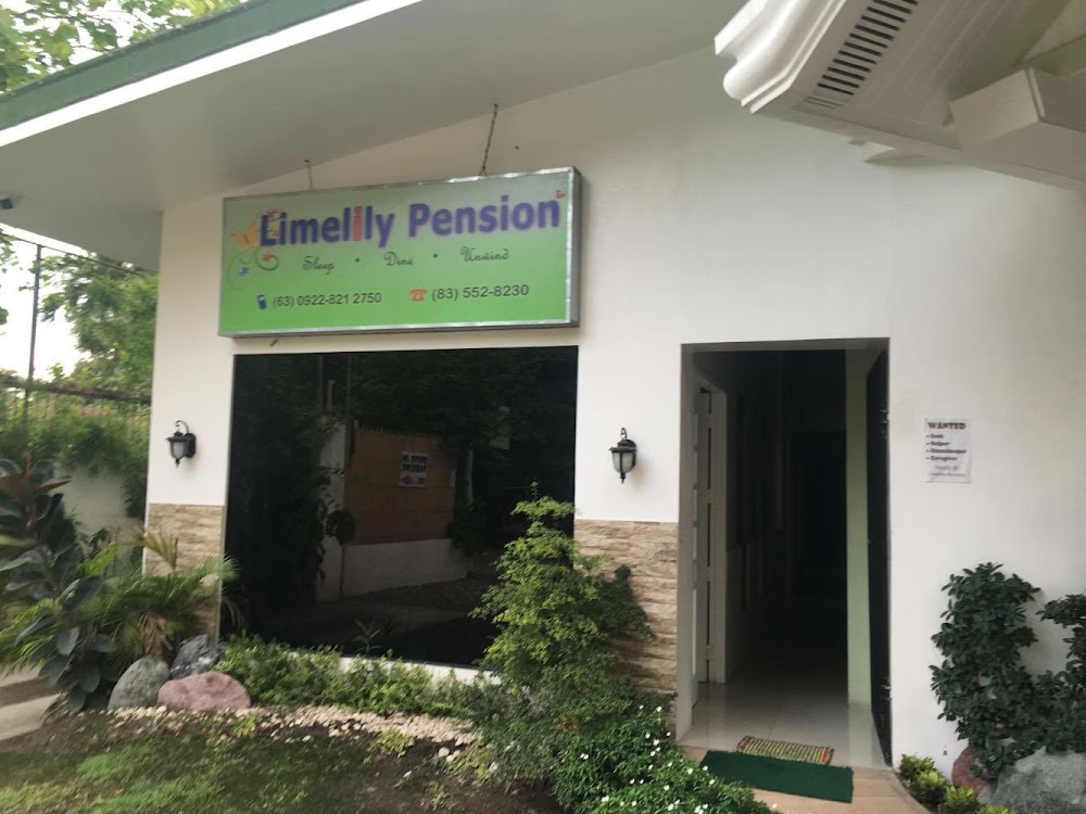 Limelily Pension House 2